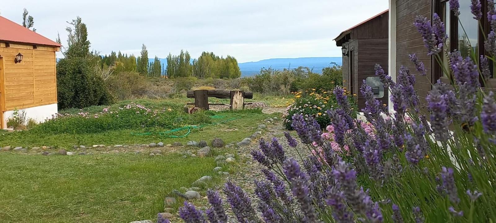 Estancia La Serena Perito Moreno Bagian luar foto